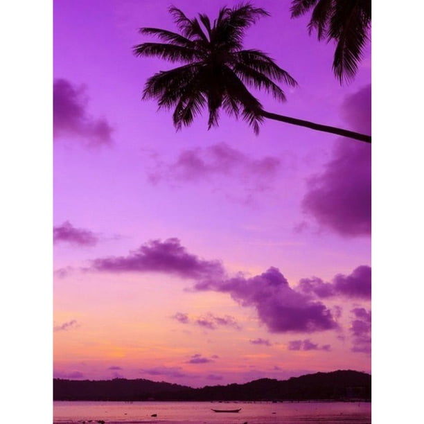Diamond Painting (DE1577) Kit Cuadrado 5D Color Playa Playa Dibujo (V595) 50x70cm Hugtrwg Para estrenar
