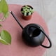 thumbnail image 4 of Mini regadera de 1000 ml con mango redondo para interiores y exteriores, esférica, de acero inoxidable, regadera de metal con pico largo y estrecho para plantas de jardín, color negro Adepaton LL-2120-1, 4 of 6