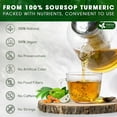 thumbnail image 2 of FreshDrinkUS, Premium 60 Soursop Turmeric Tea Bags, 100% Natural, Blend of Soursop Leaves, and Turmeric Root. Made with Natural Material Tea Bags. No Sugar, Vegan., 2 of 9