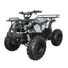 Coolster Kids 125cc ATV 3125R