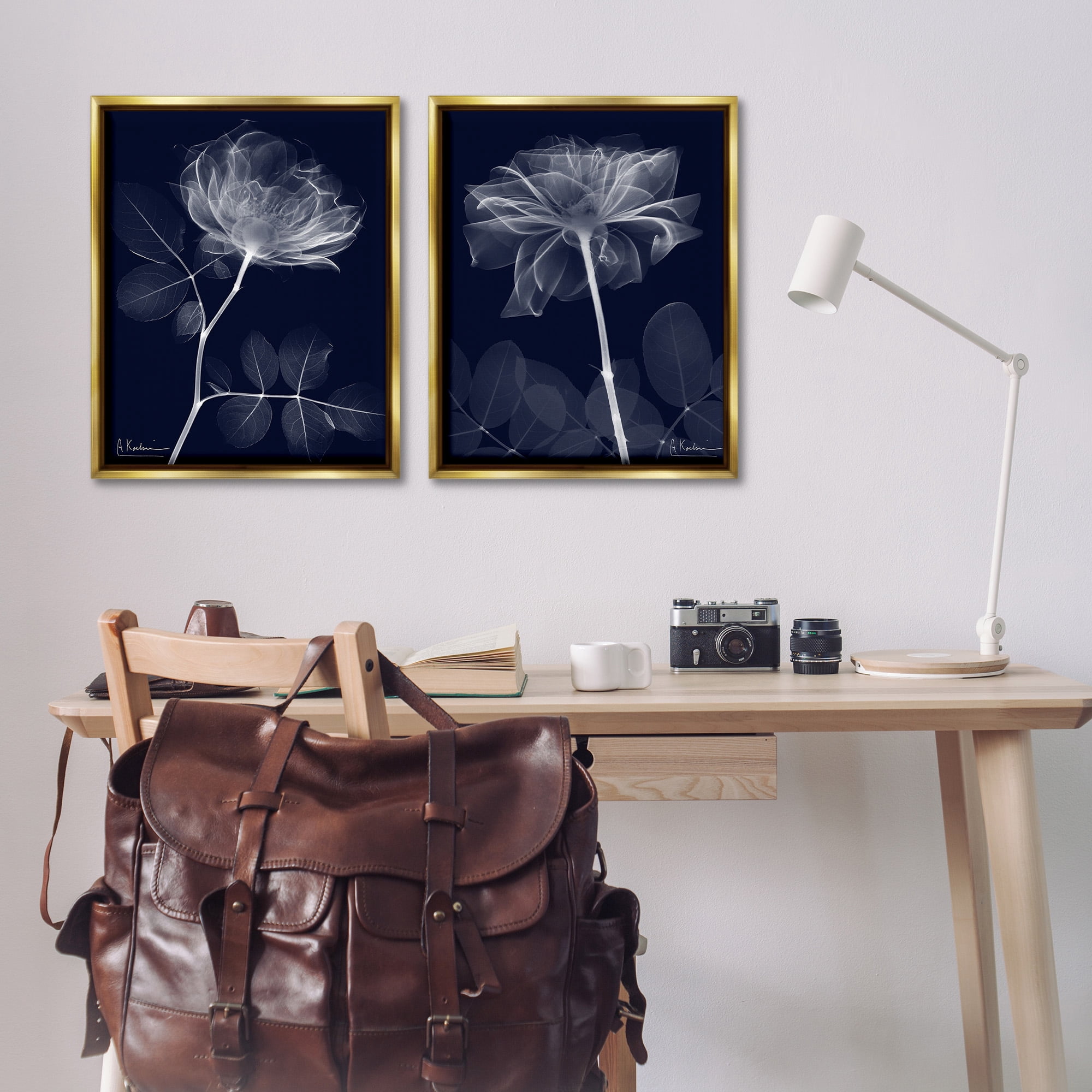 Stupell Industries X-Ray Blossom on Black Botanical & Floral Photography Gold Floater Framed Canvas Art Print Wall Art, 25 x 31, Set of 2