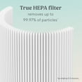 thumbnail image 5 of Bionaire True HEPA 360° Replacement Filter for Air Purifier, 1 Count, 6–12 Month Life, 5 of 7