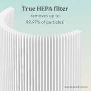 Bionaire True HEPA 360° Replacement Filter for Air Purifier, 1 Count, 6–12 Month Life