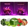 thumbnail image 2 of 25W45W Gardening Supplies Full Spectrum Indoor Greenhouse Lamp Panel Hydroponic LED Grow Light Flower Plant US 25W, 2 of 8