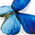 thumbnail image 6 of JWH 3D Handmade Decorative Butterfly Throw Pillows for Couch Sofa Chair Home Decor Blue 13x17inch 1PC, 6 of 11
