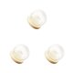 thumbnail image 2 of Ounissouiy Glass Display Cloche Bell Jar Dome Flower Wooden Base Preservation Cover Type1 NO1, 2 of 6