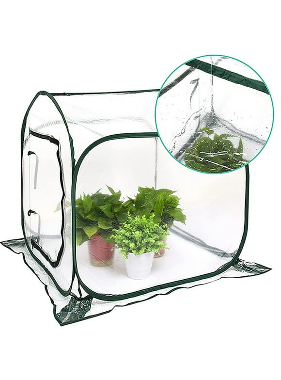 Mini Greenhouses in Greenhouses