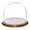 Walnut Veneer Base, variant on Plymor 8" x 6.5" Glass Display Dome Cloche (Walnut Veneer Base)