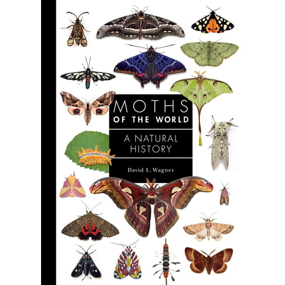Guide to Every Family Moths of the World: A Natural History, Book 11, (Hardcover)