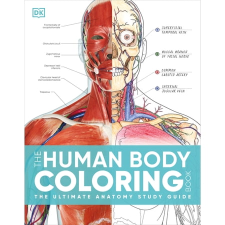 DK Human Body Guides The Human Body Coloring Book, (Hardcover)