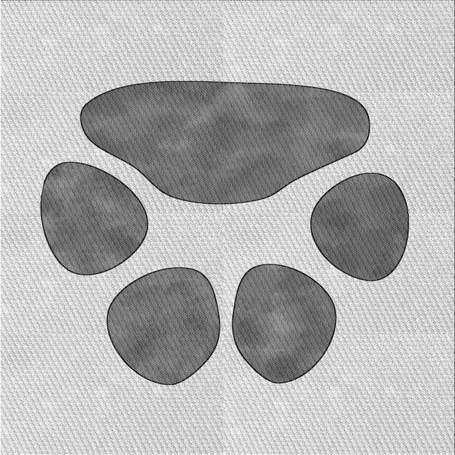 Ahgly Company Tapis d'Intérieur Lavable en Machine Carré Gris Transitionnel, 5 Pieds Carré