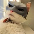 thumbnail image 1 of Batman Cat Meme Mask Hilarious Black Bat Mask for Cats, Pet for Halloween or Everyday Fun, 1 of 9