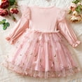 thumbnail image 5 of IVEYRTF Girls Long Sleeve Princess Dress Ruffled Lace Embroidery Mesh Skirt Round Neck Dresses for Fall Spring Daily Wear Travel Holiday Birthday Party Outfit, 5 of 9