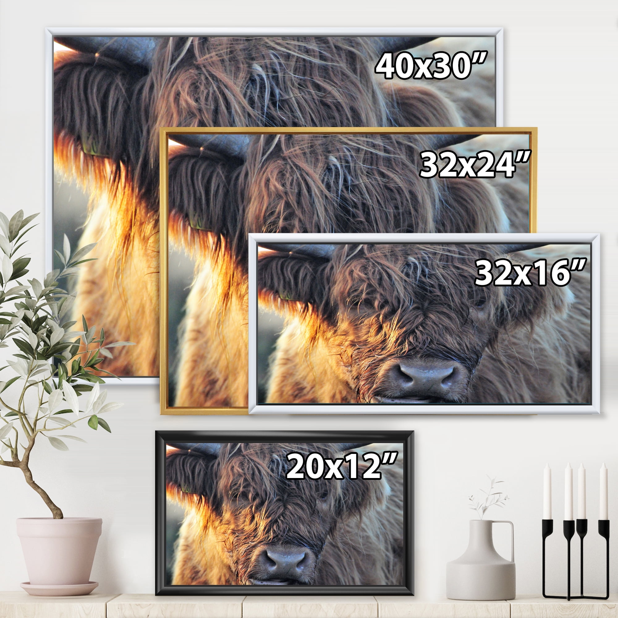Close Up Of Scottish Cow On Moorland III 20 in x 12 in Framed Painting Canvas Art Print, by Designart