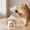 Green, variant on FeiFu Cats Food Dispensing Rotating Toy Ice Crusher Shaped Puzzle Toy Interactive Slow Feeding Toy for Cats Dogs Mental Stimulation Boredom Relief Supplies