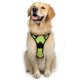 thumbnail image 1 of Laklulu Arnés para Perros sin tirones Clip Frontal Reflectante de Alta Resistencia Mango de fácil Control para Caminar con Perros pequeños, 1 of 5