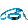 thumbnail image 5 of Country Brook Petz® Ice Blue Everyday Nylon Dog Collar and Leash, Medium, 5 of 7