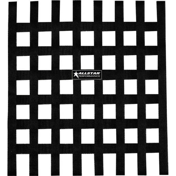Window Net Loop Style 18 x 18 SFI Black