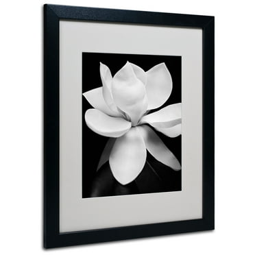 Matted art under acrylic in a black frame
