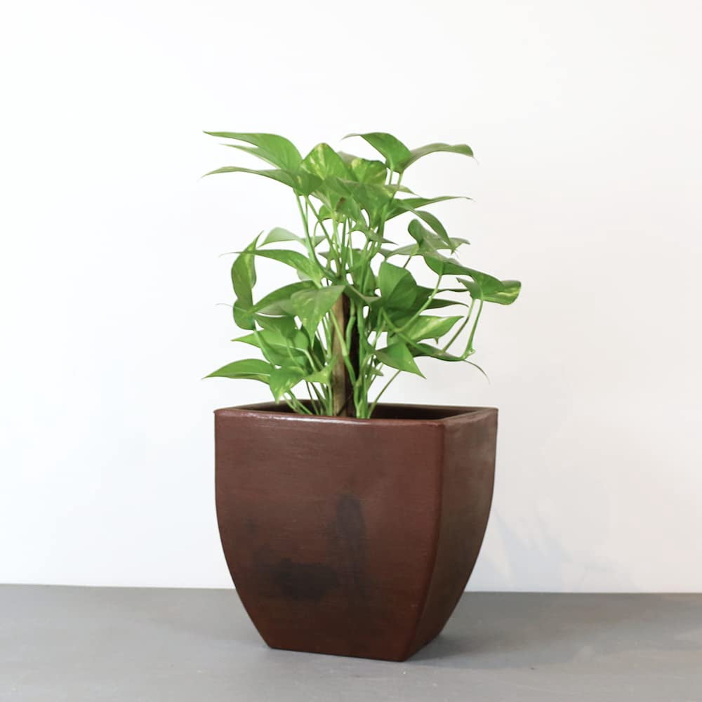 Ecobo 11.8’’ Tall Eco-Friendly Pot Square Planter - Capri Indoor/Outdoor Planter for Flowers & Plants - Contemporary All-Weather Design – Brown