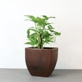 thumbnail image 2 of Ecobo 11.8’’ Tall Eco-Friendly Pot Square Planter - Capri Indoor/Outdoor Planter for Flowers & Plants - Contemporary All-Weather Design – Brown, 2 of 6