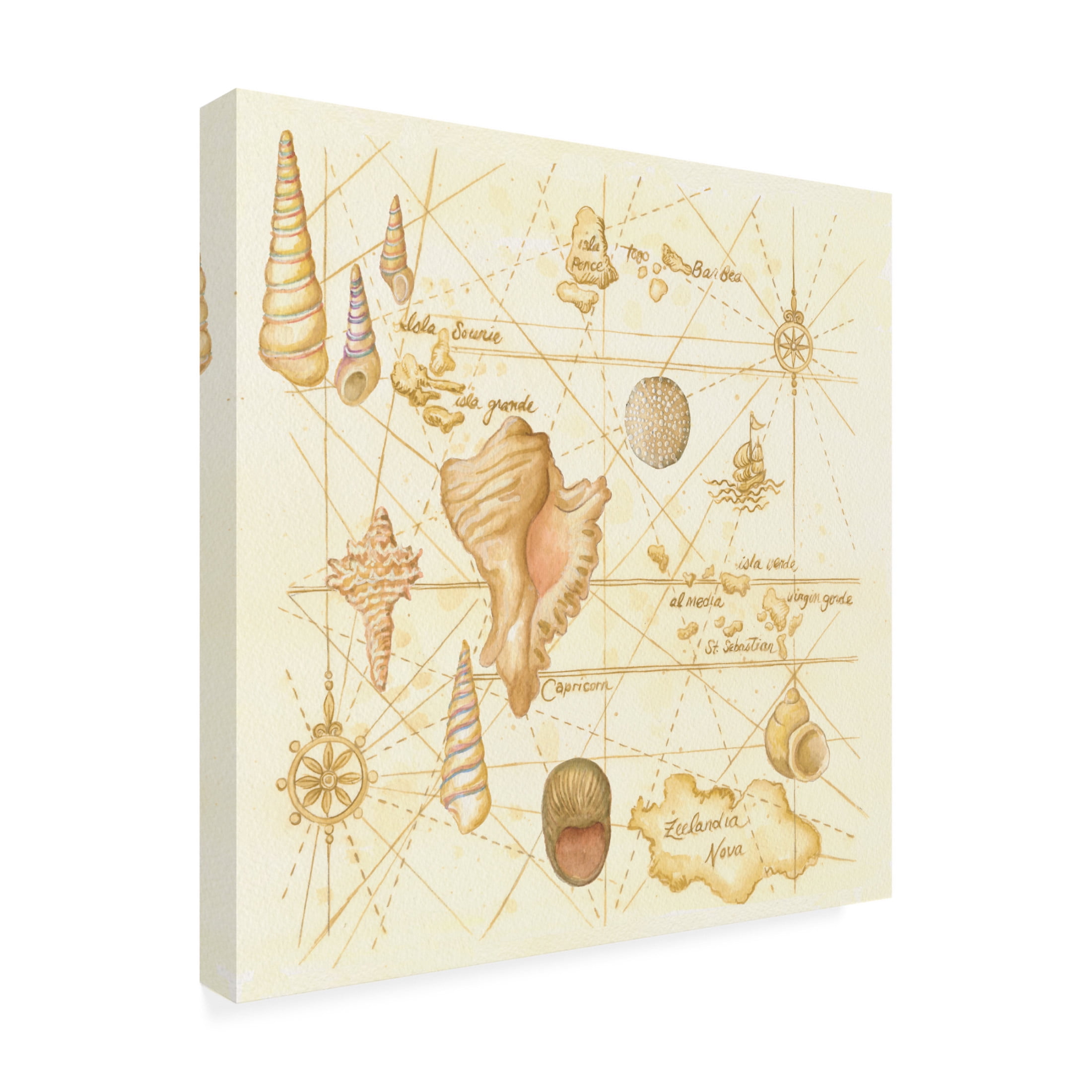 Canvas Wall Art - Andrea Strongwater 'Map Painted W Shells' Wall Art for Living Room, Bedroom, or Office Décor by Trademark Fine Art - 24 x 24 Inches