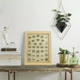 thumbnail image 5 of Heraldic Crowns & Coronets V -Framed Print w/glass-Natural Wood, 5 of 7
