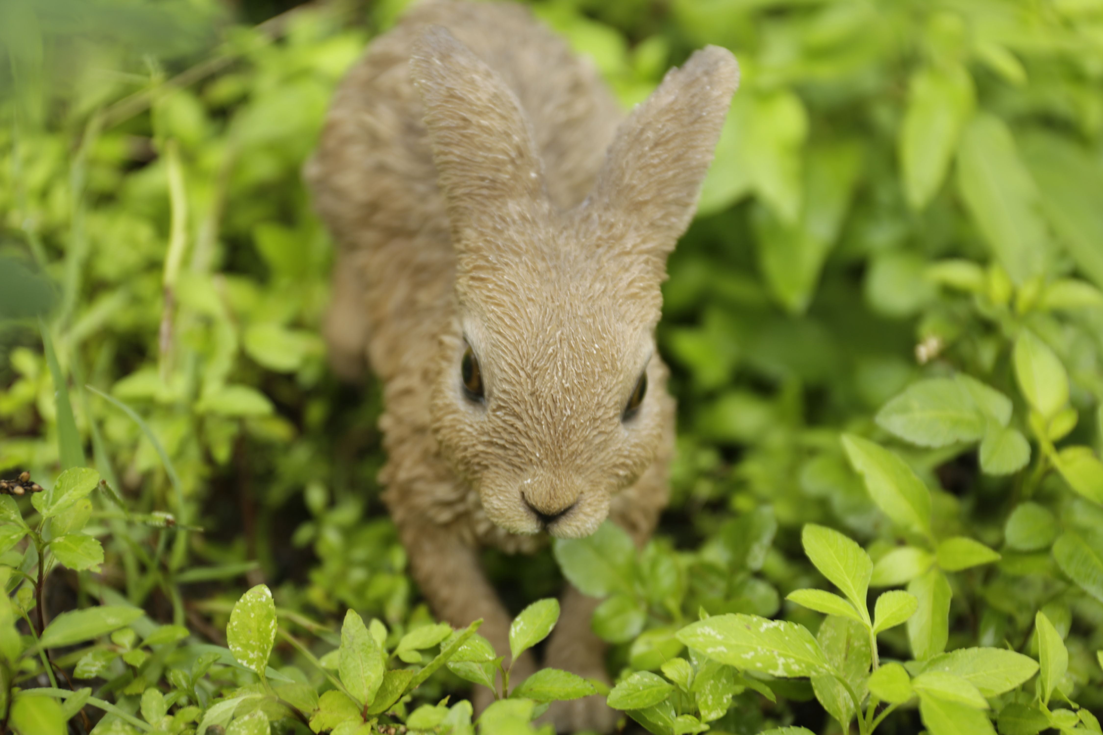 Hi-Line Gift Ltd. Hare Cub Running Statue