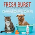 thumbnail image 5 of Alpha Dog Series Chlorhexidine Medicated Shampoo for Dogs & Cats, 8 fl oz, 5 of 7