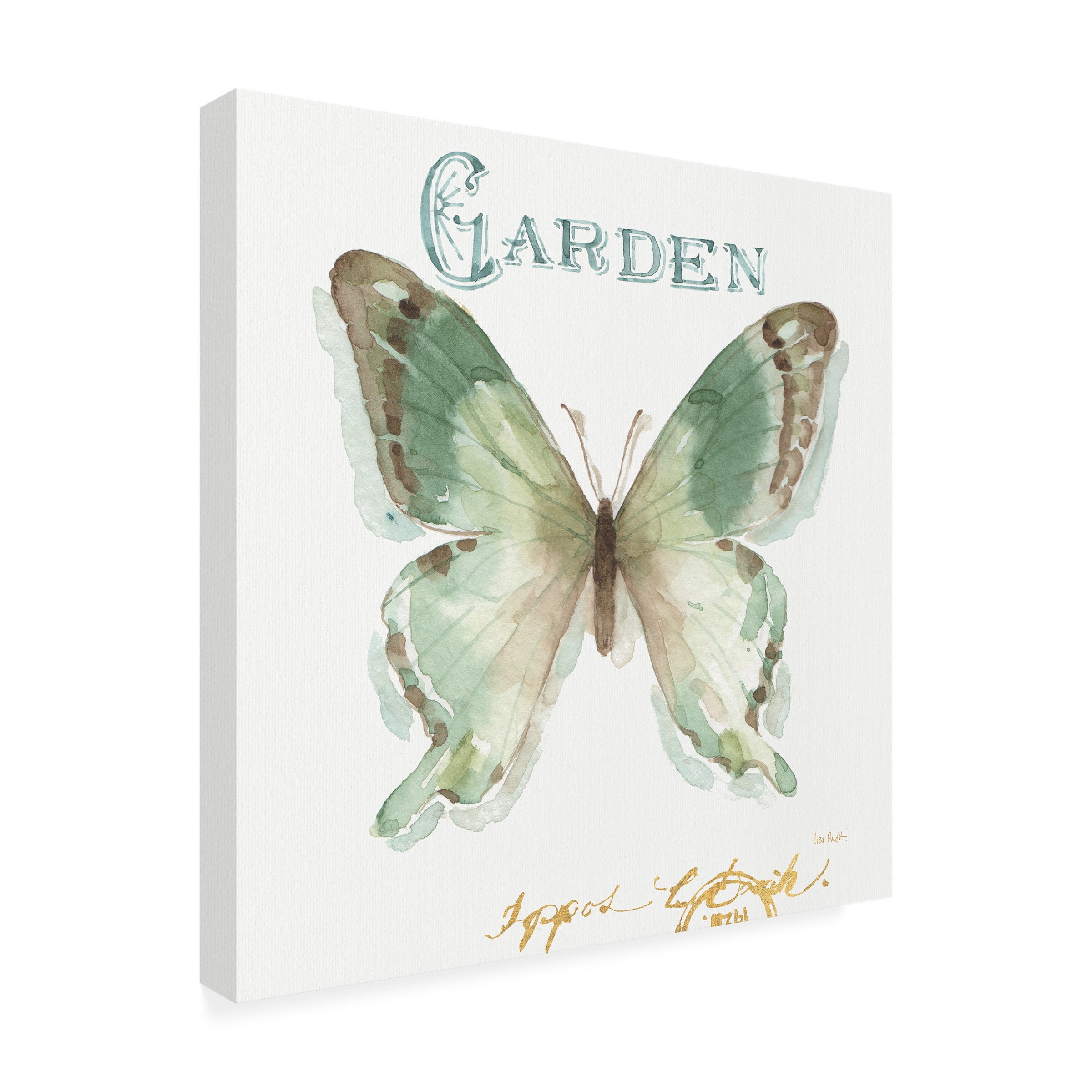 Trademark Fine Art "My Greenhouse Butterflies III" Canvas Art by Lisa Audit