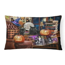 Carolines Treasures PTW2069PW1216 Halloween Black Cats Our Favorite Time Canvas Fabric Decorative Pillow  12H x16W