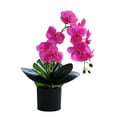 thumbnail image 1 of Beautiful Phalaenopsis bonsai: Elegant artificial Phalaenopsis with plastic pot, 1 of 11