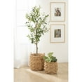thumbnail image 3 of Kate and Laurel Livia Modern Two-Piece Woven Basket Set, 16 x 16 and 13 x 13, Natural Water Hyacinth, Transitional Natural Wicker Baskets for Use as Woven Planters or Living Room Blanket Baskets, 3 of 9