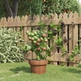 thumbnail image 1 of vidaXL Garden Plant Supports with 3 Rings 5 pcs Green 60 cm Steel, 1 of 5