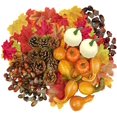 thumbnail image 1 of 172pcs Thanksgiving Artificial Pumpkins Decoration Set,halloween Mini Fake, 1 of 5