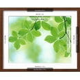 thumbnail image 5 of Art.com Selective Focus Close Up of Green Leaves Hanging from Tree Photographic Print, Brown Frame Wall Art, 21" x 17", 5 of 5