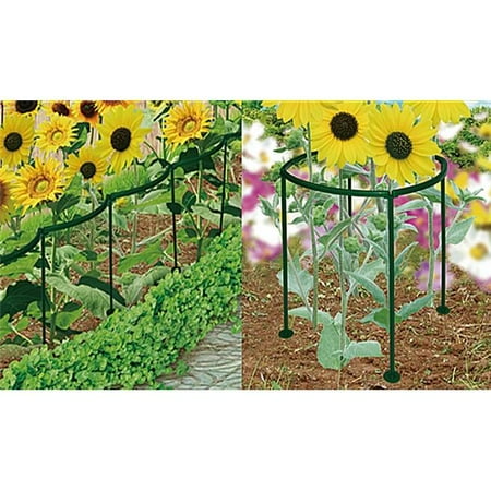 Plant Supports 44 Protect Plants From Wind Rain Plant Supports 44 Protect Plants From Wind Rain