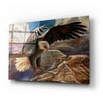 thumbnail image 2 of Epic Art 'Eternal Freedom Eagle 2' by Enright, Acrylic Glass Wall Art, 24"x16", 2 of 8