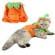 thumbnail image 4 of Disfraz de calabaza para mascotas ANIAC, sombrero y poncho ajustables para gatos, 4 of 7