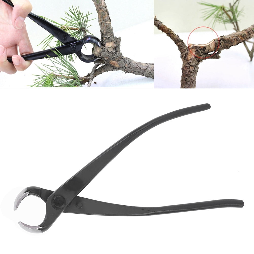 Bonsai Cutter, Branch Cutter, 62HRC Hardness 18.5cm / 7.3in For Fruit