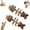 2pcs F, variant on Natural Fishbone Cat Toy 2Pcs Wooden Catnip Stick for Teeth Cleaning2pcs D2-in-1