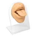 thumbnail image 3 of Modelo De Boca De Lengua De Silicona, Modelo De Lengua Humana, Práctica Perforadora Partes Del Cuerpo Para Exhibición De Joyas, Práctica De Sutura, Herramienta De Enseñanza De, 3 of 7