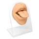 thumbnail image 5 of Modelo de lengua humana de silicona suave, realista, acrílico, soporte, modelo de boca para exhibición de joyas, color piel., 5 of 14