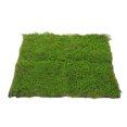 thumbnail image 1 of SHOWERORO Musgo Artificial Para Con Textura Natural Para Jardinería Y Proyectos Creativos En Color Verde, 1 of 6