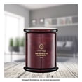 thumbnail image 4 of Vela Aromatica Hometrends Pink Pepper & Oud Aroma 245 G, 4 of 4