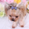 thumbnail image 1 of Non-slip Pet Hair Clips Bone-shaped Colorful Rhinestones Decoration Hairpin Hair Grooming Accessories For Dogs Cats Baby Girls, 1 of 7