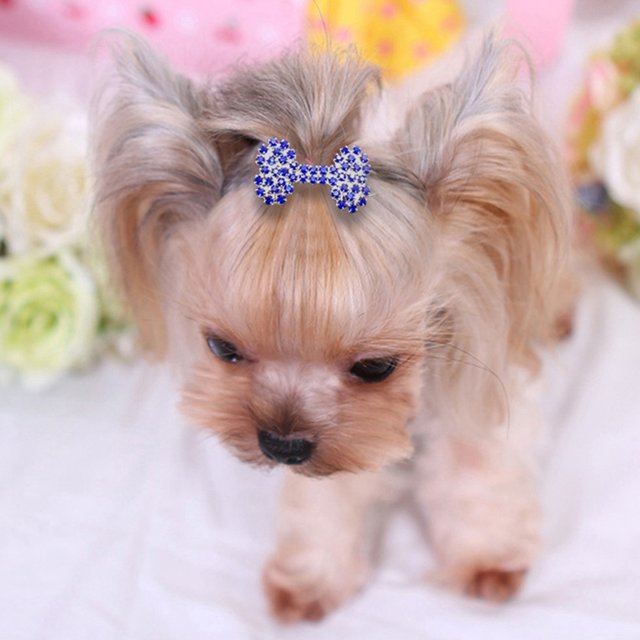 Non-slip Pet Hair Clips Bone-shaped Colorful Rhinestones Decoration Hairpin Hair Grooming Accessories For Dogs Cats Baby Girls