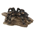 thumbnail image 3 of Tarántula Hi-Line Gift Ltd de 9 cm, poliresina negra, 3 of 6