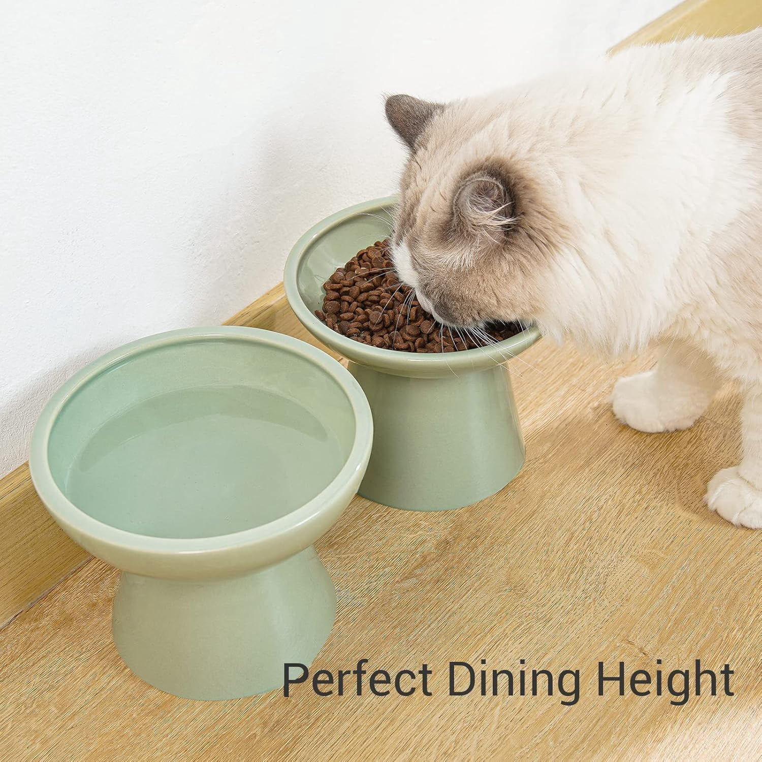 2 Elevated Ceramic Cat Bowls Extra Wide for Food & Water \u2013 Whisker Fatigue Shallow Dish, Lead Cadmium-Free, Raised Height Cats, Sage Green -