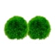 thumbnail image 1 of 2 bolas de plantas acuáticas para acuario, paisajismo, plantas acuáticas, bolas de hierba para jardín., 1 of 6